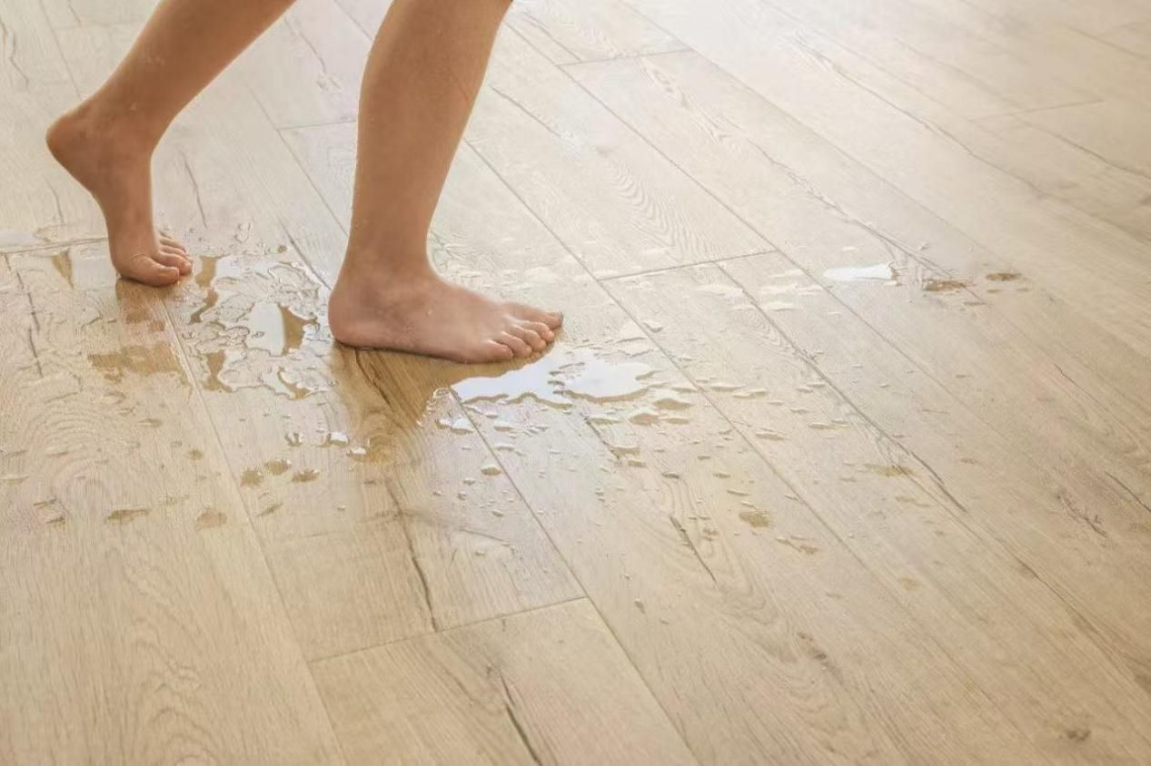 假如妈妈是甲方 图片4